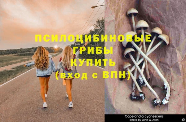 ешки Армянск