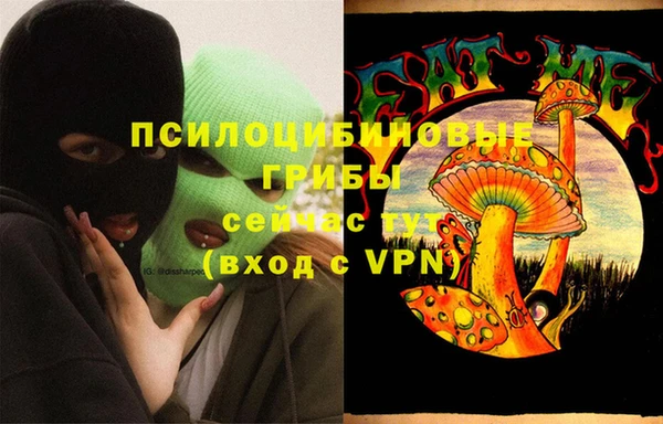 крисы Аркадак