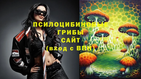 ешки Армянск
