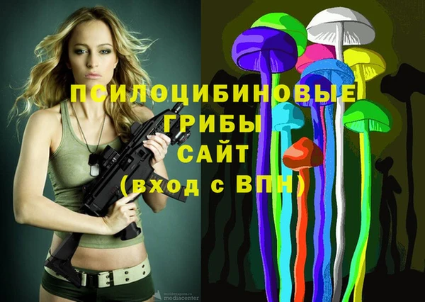 крисы Аркадак