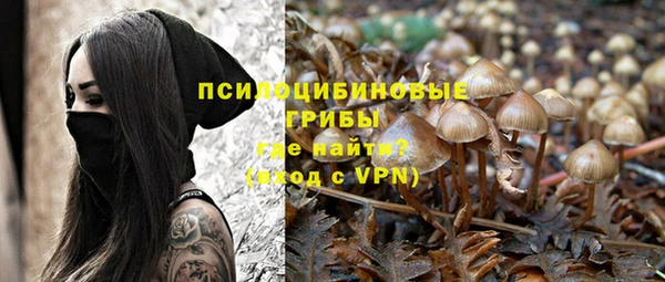 крисы Аркадак
