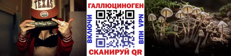 Купить закладки  Юрга  Псилоцибиновые грибы Magic Shrooms 